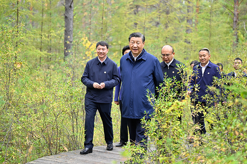 9月6日至8日，中共中央总书记、国度主席、中央军委主席习近平在黑龙江调查。这是6日下午，习近平在大兴安岭地域漠河市漠河林场天然林区调查